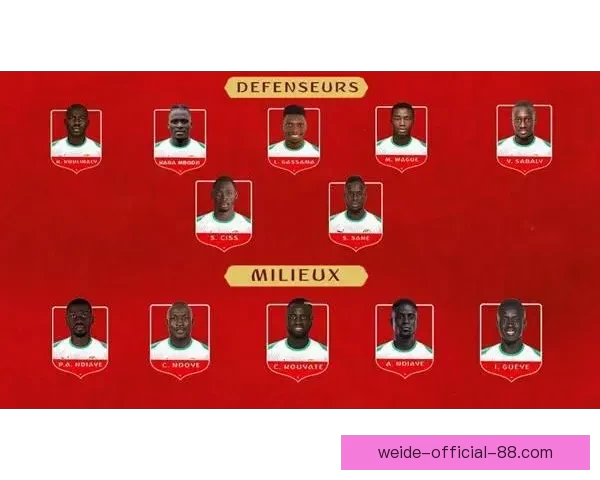 世界杯竞猜盘口分析与趋势解读助您精准预测赛事结果